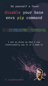 thumbnail for disable-base-pip.png