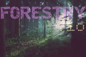 thumbnail for forest_twitter.jpg