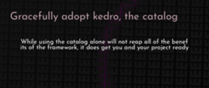 thumbnail for graceful-kedro-catalog-dev_250x105.png