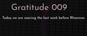 thumbnail for gratitude-009-dev.png