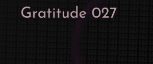 thumbnail for gratitude-027-dev.png