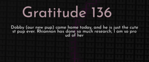 thumbnail for gratitude-136-dev.png