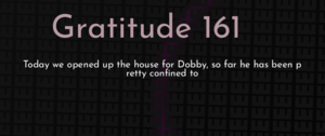 thumbnail for gratitude-161-dev.png