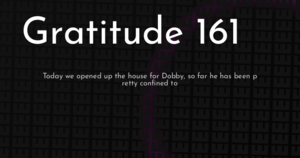thumbnail for gratitude-161-hashnode.png