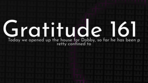 thumbnail for gratitude-161.png