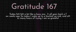 thumbnail for gratitude-167-dev.png