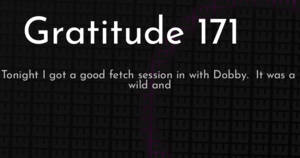thumbnail for gratitude-171-hashnode.png