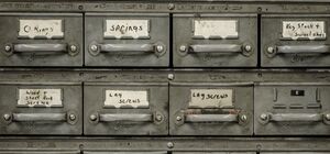 thumbnail for jesse-orrico-h6xNSDlgciU-unsplash.jpg