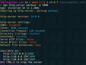 thumbnail for npx-http-server.png