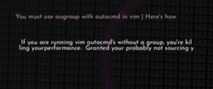 thumbnail for vim-augroup-dev_250x105.png