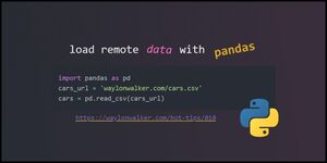 thumbnail for ww-hot-tip-010.jpg